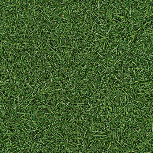 Линолеум бытовой "IVC" Bingo Grass 25 (3м) — купить в Вологде