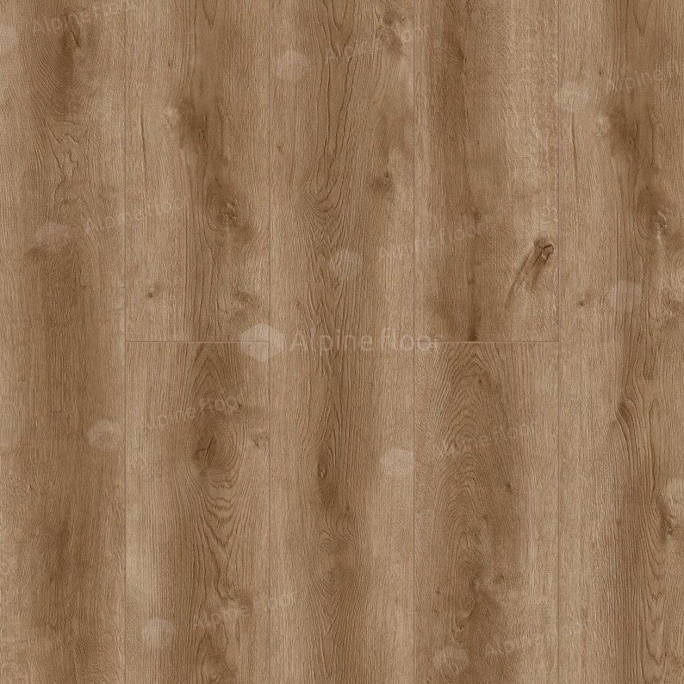 Ламинат "Camsan" Дуб Ивори (1380*192,5*8 мм) — купить в Вологде