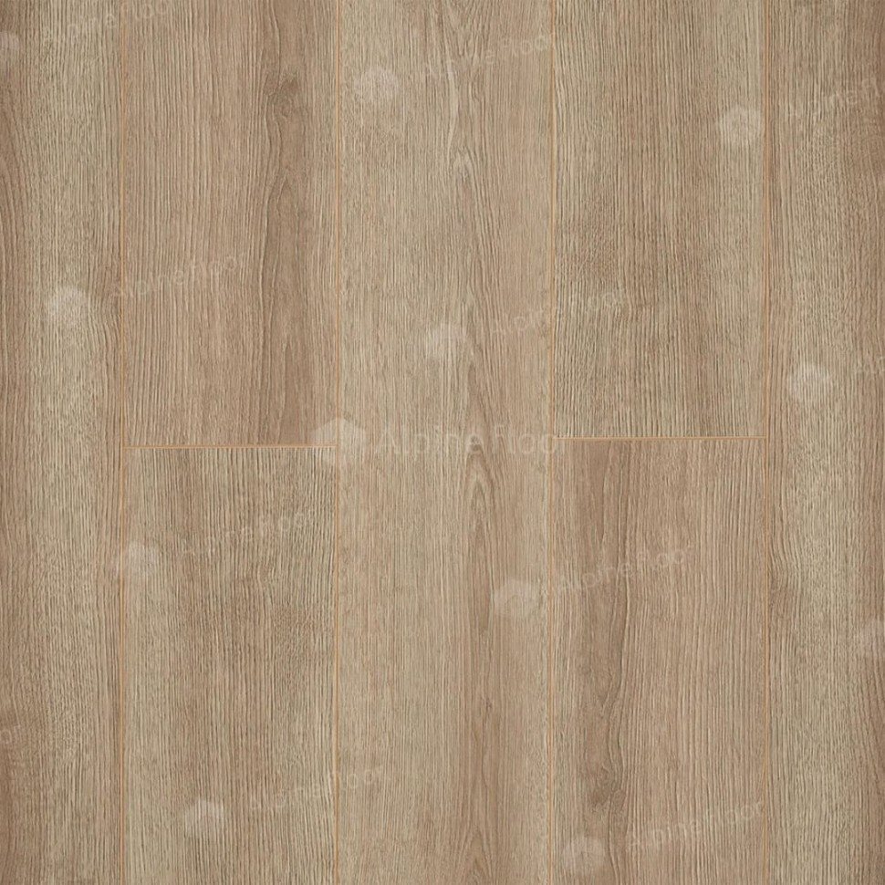 Ламинат "Camsan" Дуб Кашемир (1380*190*10 мм) — купить в Вологде